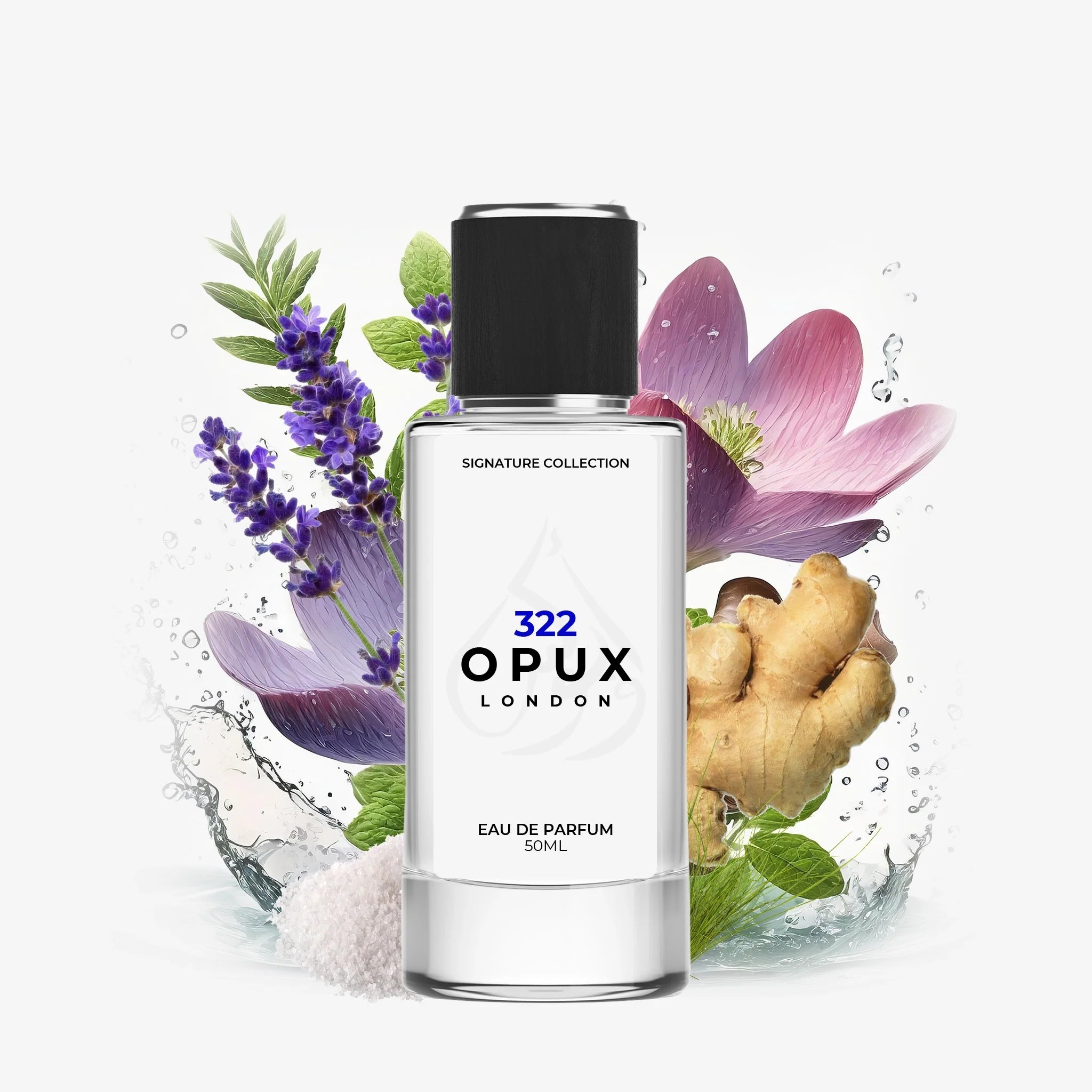 Inspired By Uomo Born In Roma - 322