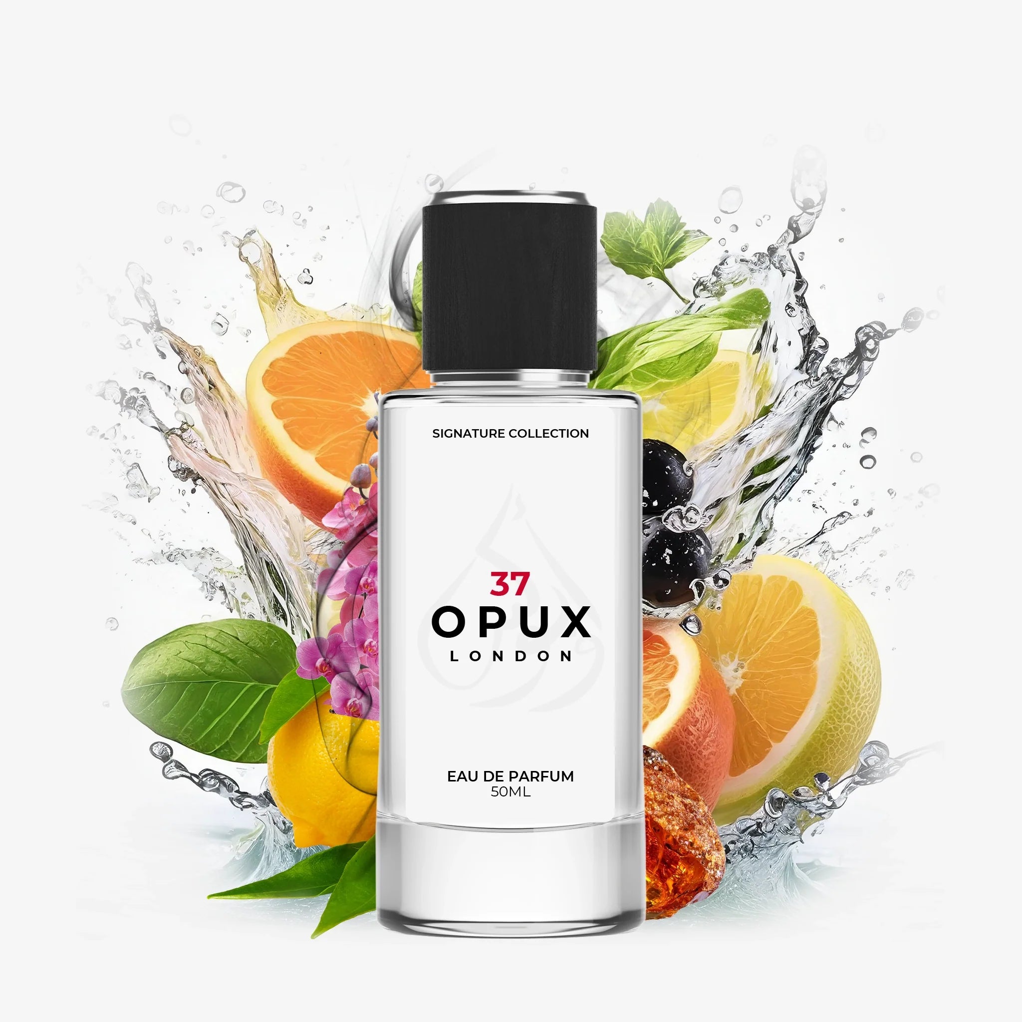 Inspired By Black Orchid - 37