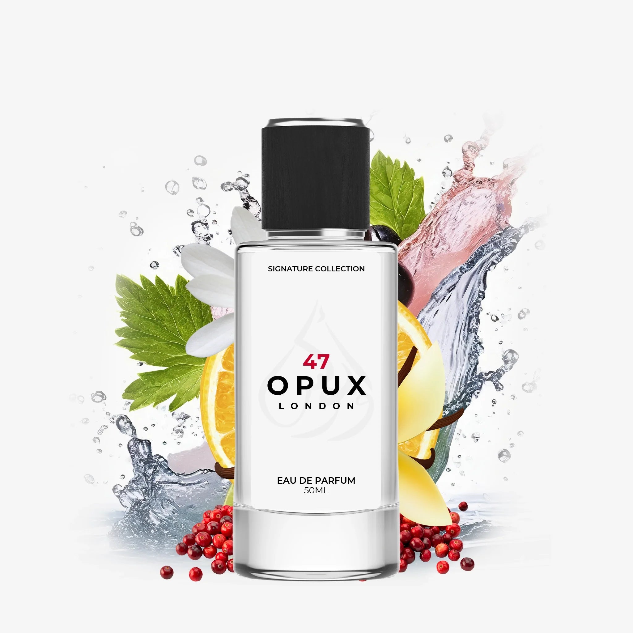 Inspired By Donna Born In Roma - 47