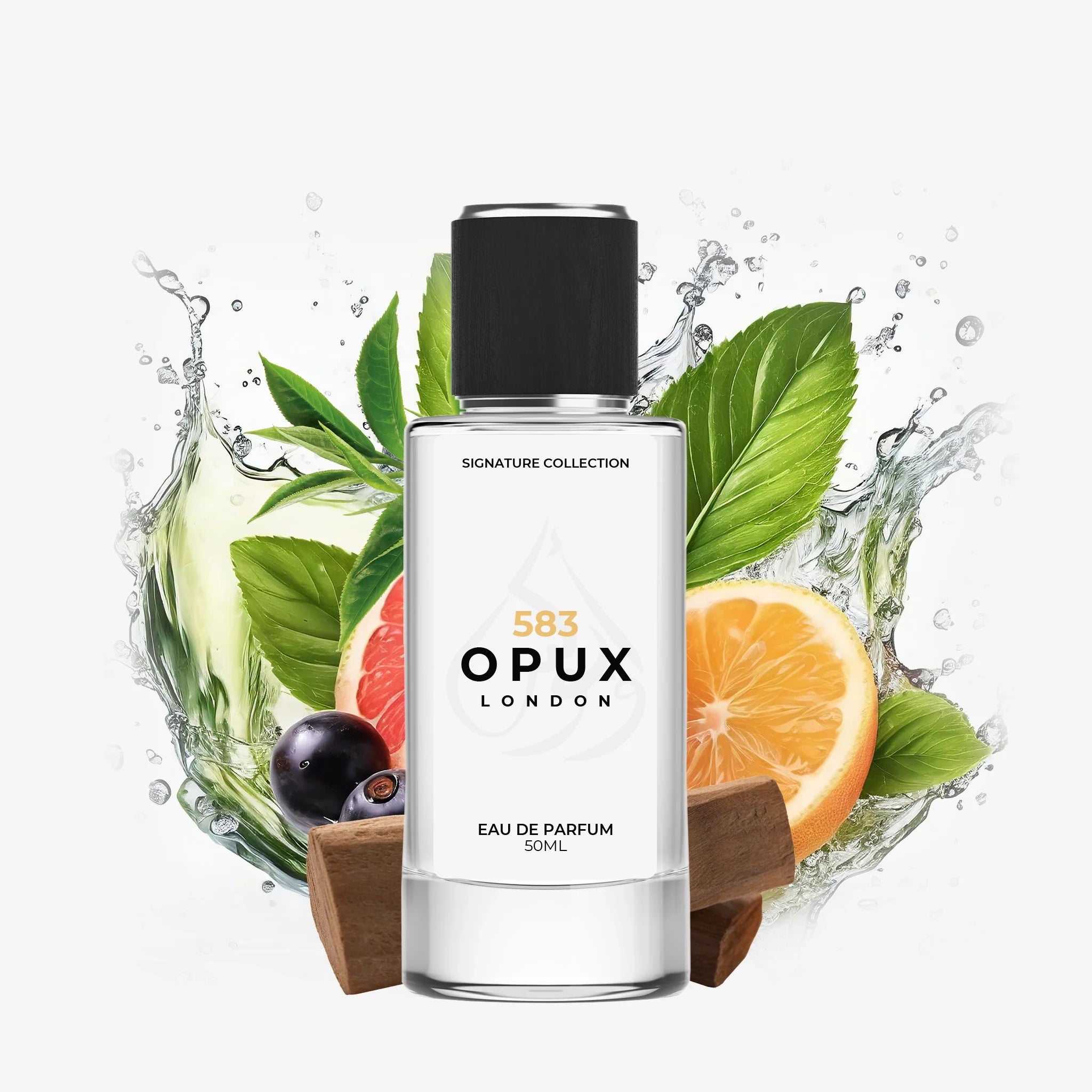 Inspired By Silver Mountain Water - 583