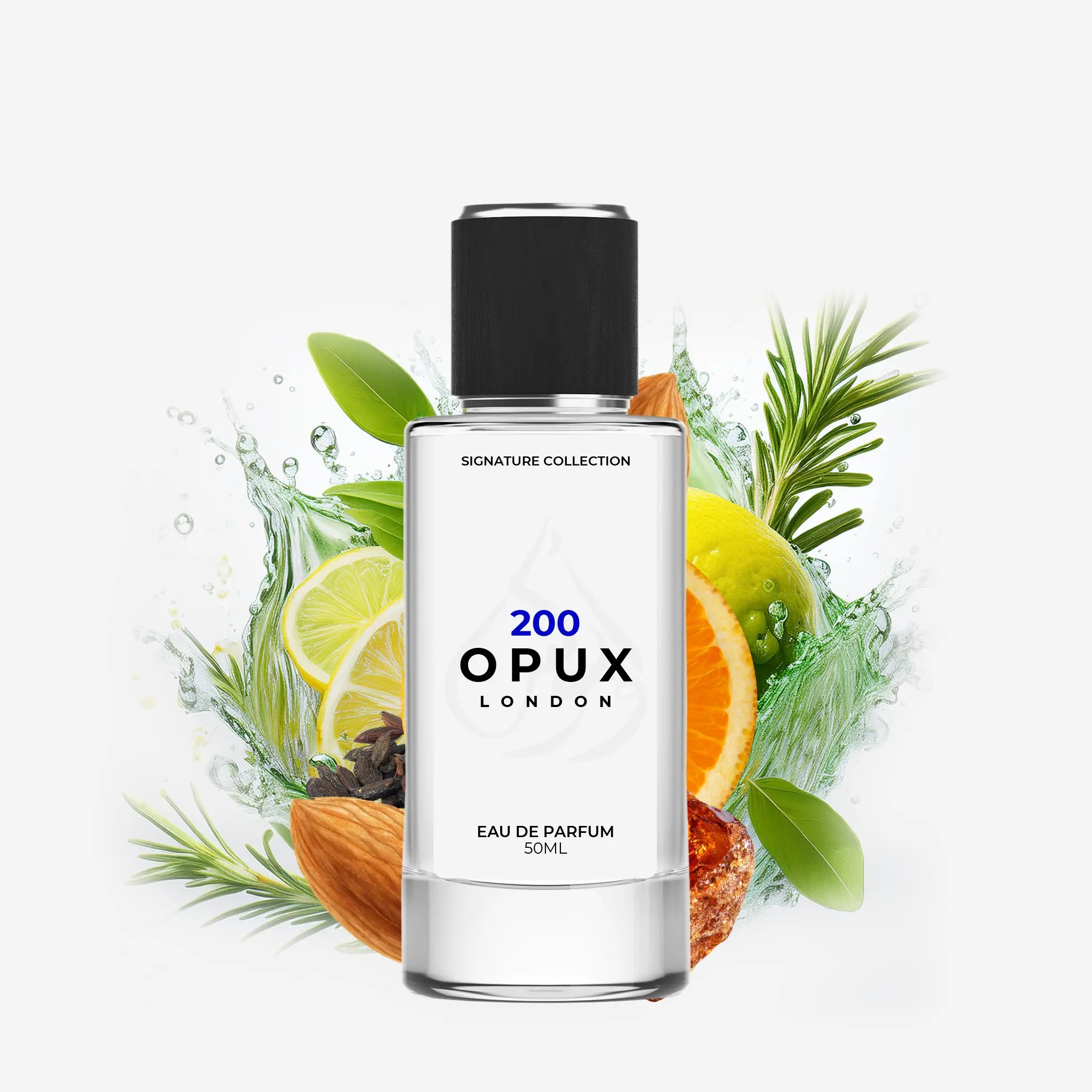 Inspired By Midnight in Paris - 200