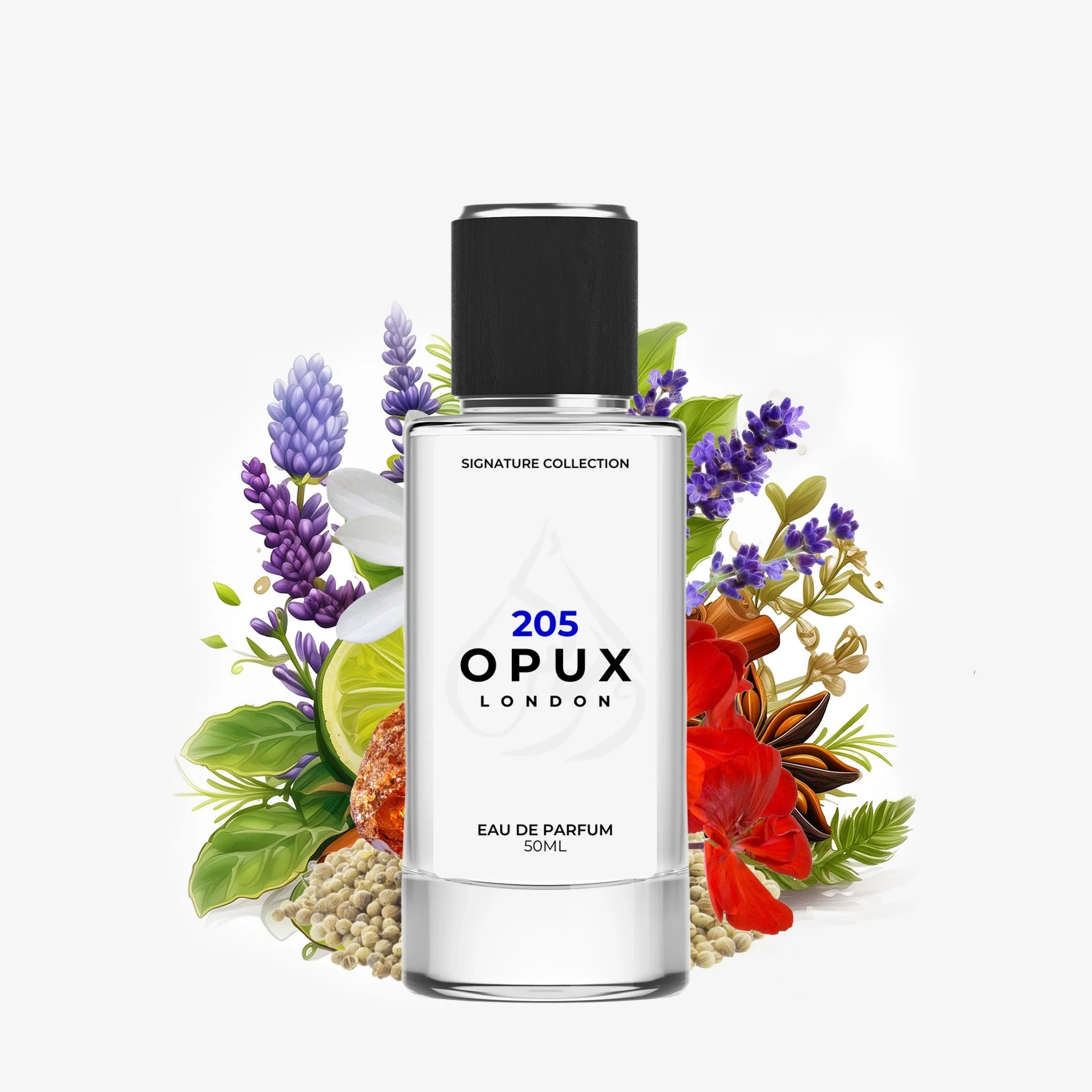 Inspired By Kouros - 205