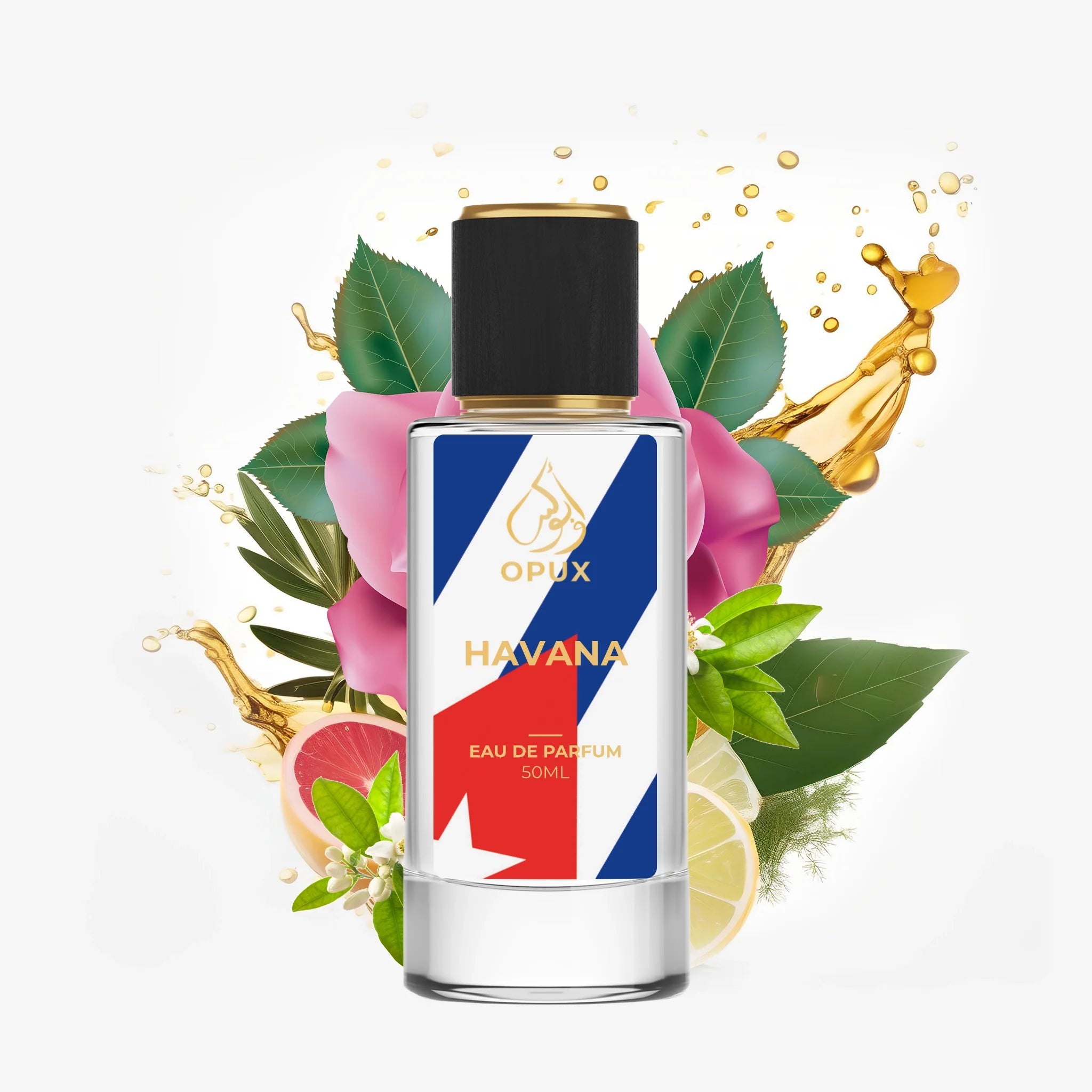 Inspired By Halfeti - HAVANA