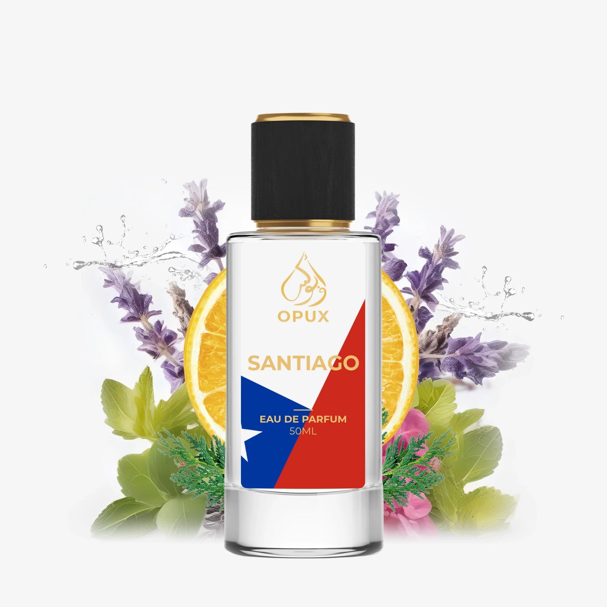 Inspired By Sauvage - SANTIAGO