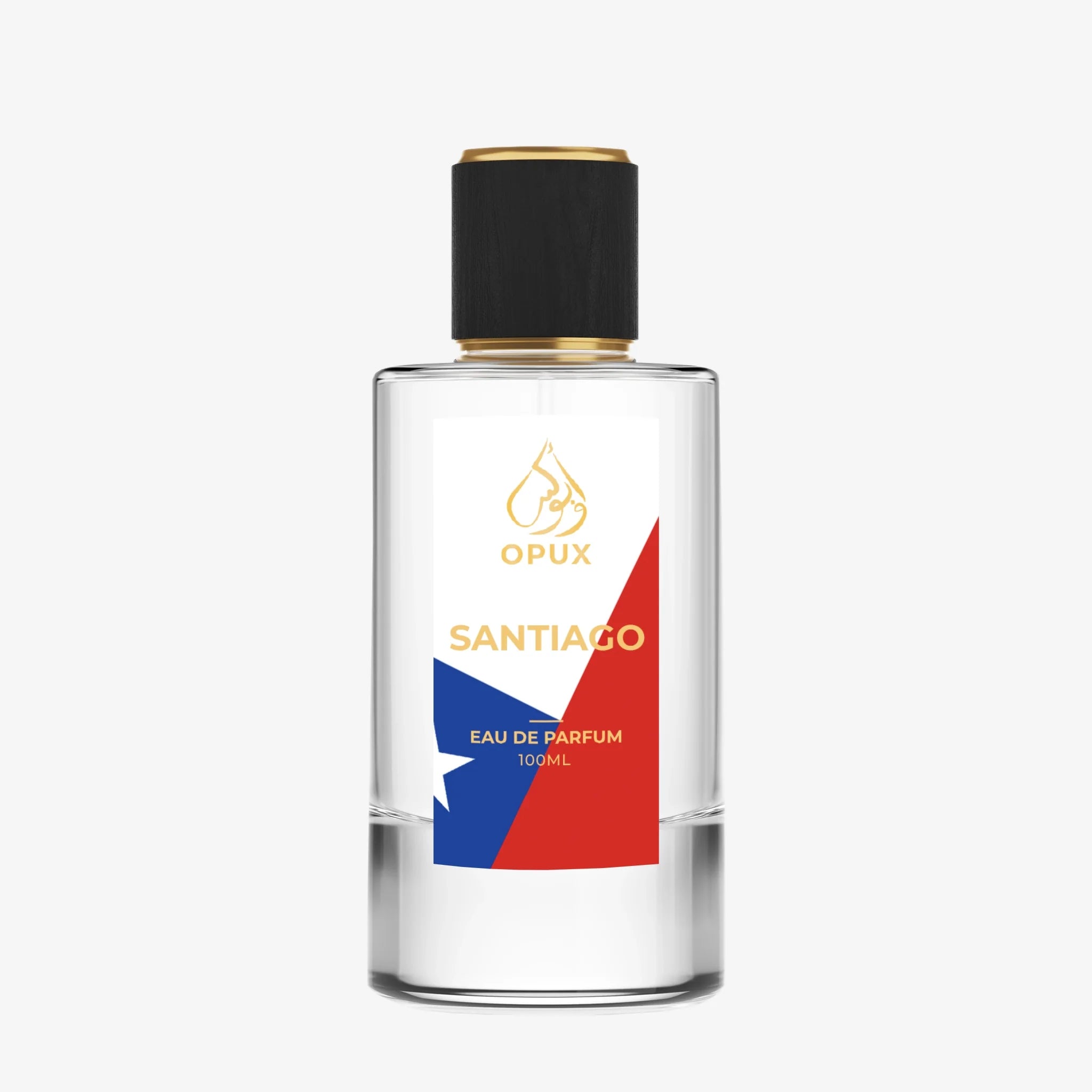 Inspired By Sauvage - SANTIAGO