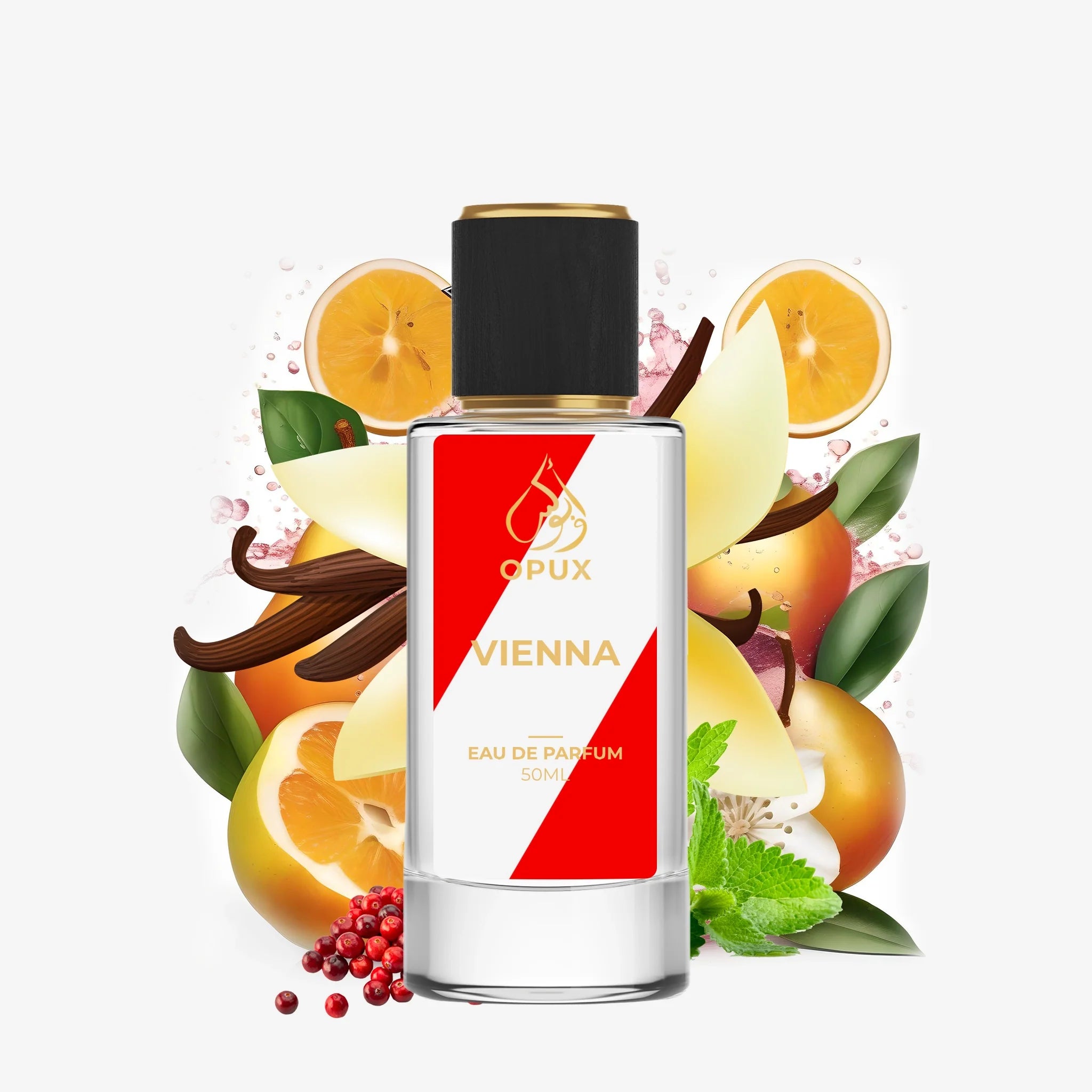 Inspired By Black Opium  - VIENNA